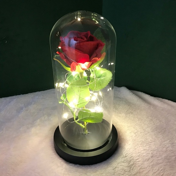Other - Just For You Eternal Preserved Rose In Glass Dome Happy Mothers Day Anniversary